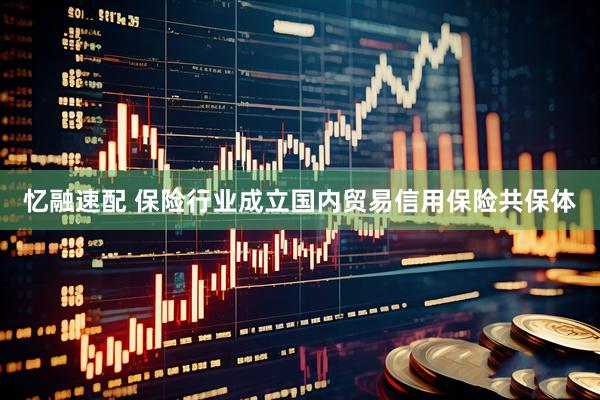 忆融速配 保险行业成立国内贸易信用保险共保体